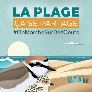 natation, vélo, course à pied, épreuve, compétition, Triathlon du galon d'or Triathlon durable