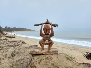 natation, vélo, course à pied, épreuve, compétition, Triathlon du galon d'or 2026