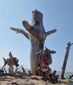 épreuve, compétition, Triathlon du galon d'or 2026