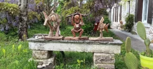 épreuve, compétition, Triathlon du galon d'or 2026