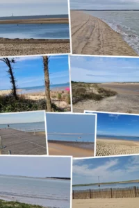 natation, vélo, course à pied, épreuve, compétition, Triathlon du galon d'or 2026