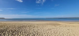 épreuve, compétition, Triathlon du galon d'or 2026