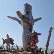 épreuve, compétition, Triathlon du galon d'or 2025