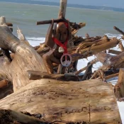 épreuve, compétition, Triathlon du galon d'or 2025