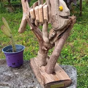 épreuve, compétition, Triathlon du galon d'or 2025